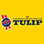 Tulip: 